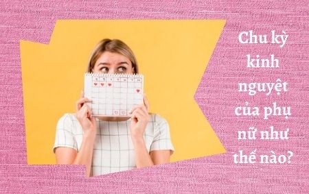 chu-ky-kinh-nguyet-phu-nu-nhu-the-nao-n